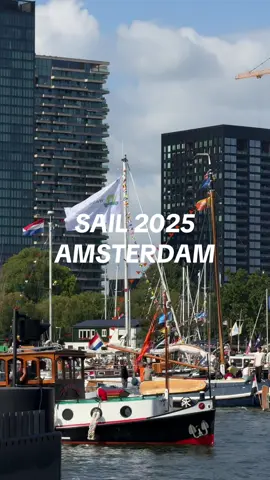 ⛵️✨That’s absolutely fantastic to be here at SAIL Amsterdam, tons of huge ships coming by just in a few meters from you. And that’s all in the very city center of Amsterdam!🇳🇱 #sailamsterdam2025 #sailamsterdam #amsterdam #amsterdamcity #amsterdamguide 