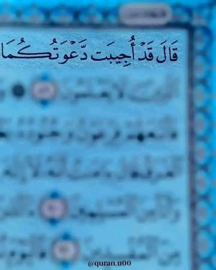 #اللهم_صلي_على_نبينا_محمد #الحمدالله_علی_کل_حال❤ #استغفار #ربي_لاتذرني_فردا_وانت_خير_الوارثين #ربي_يدخلك_الجنة_ويحقق_امنياتك 