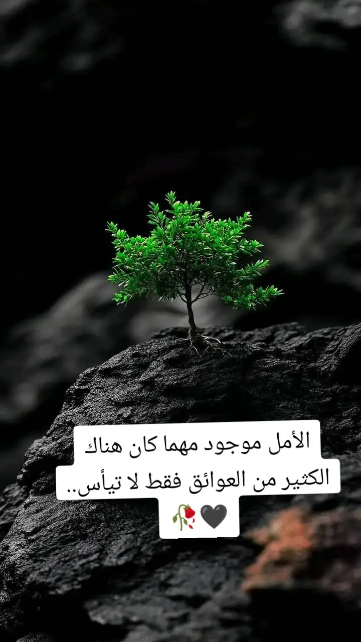#يبقى الأمل بالله لا يخيب 