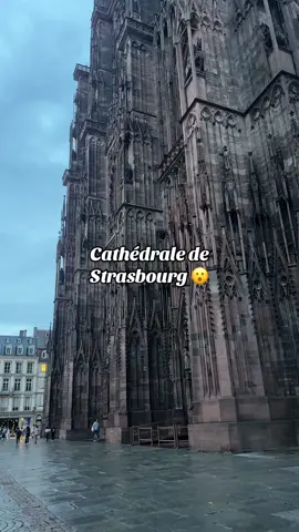 #cathedrale #strasbourg #alsace #france #voyage 