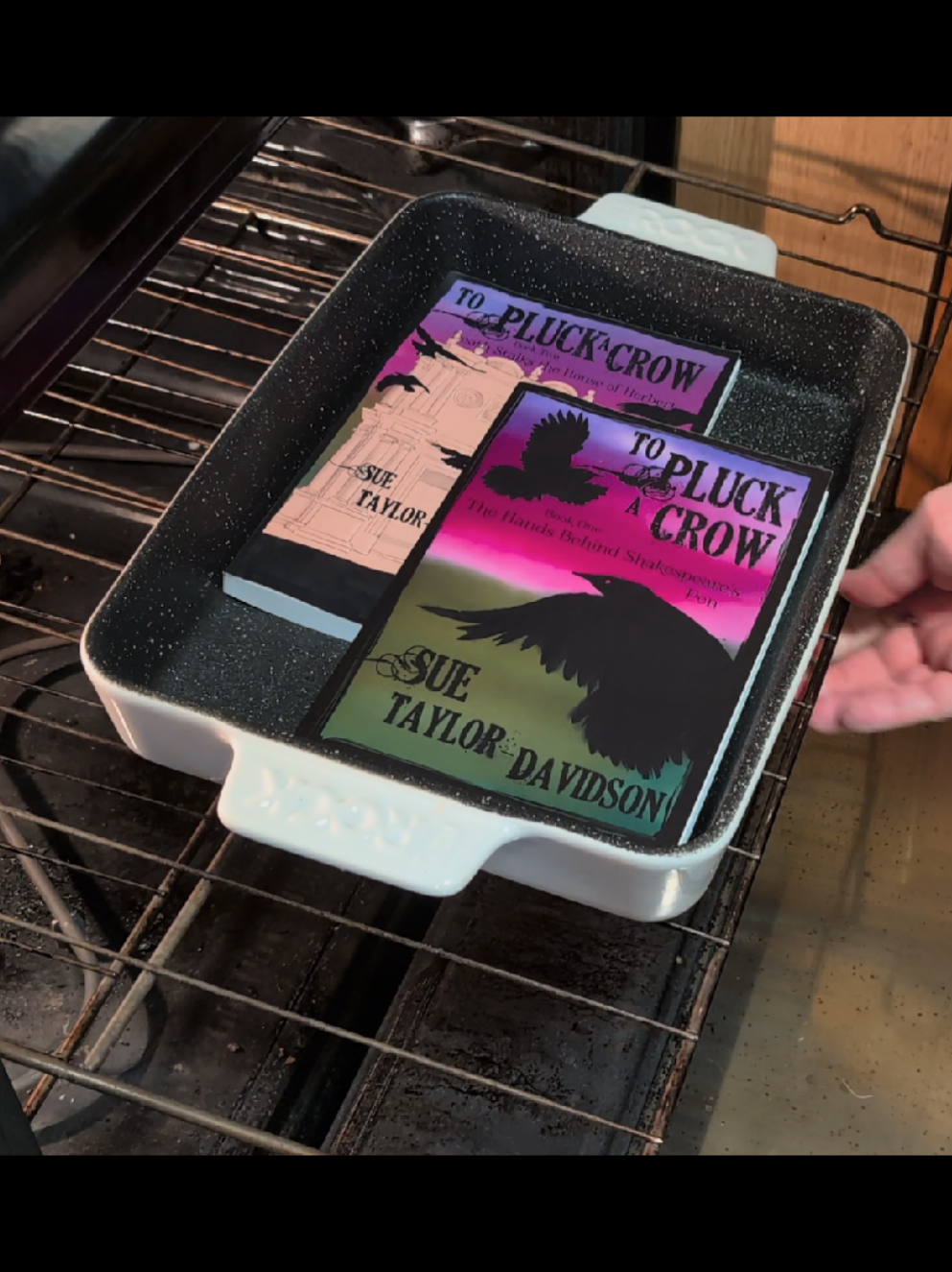 Did you know that the first book in this series in on sale on our website until August 26? Combine 
