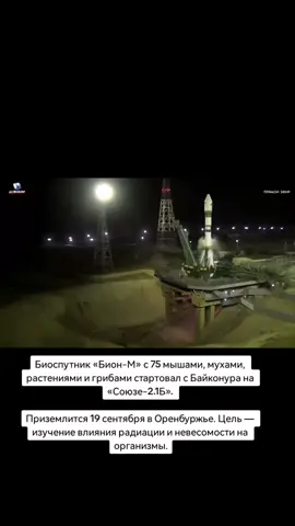 #оренбург 