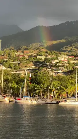 On our way to swim with Humpback whales.  It’s legal but strictly regulated here, as it should be.  What a beautiful place on earth Moorea Tahiti is.  Whales are incredible animals #humpbackwhale #frenchpolynesia #moorea  #oceanbling #aquaticbling 