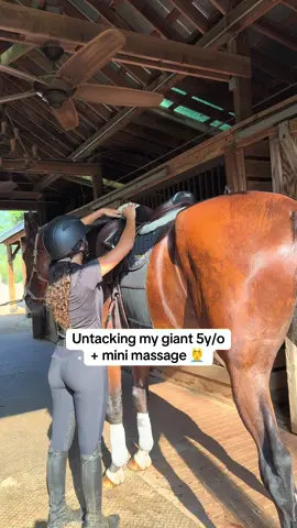 always want him to feel his best 🤍 #fyp #horse #horsetok #fypシ゚viral #fypage 