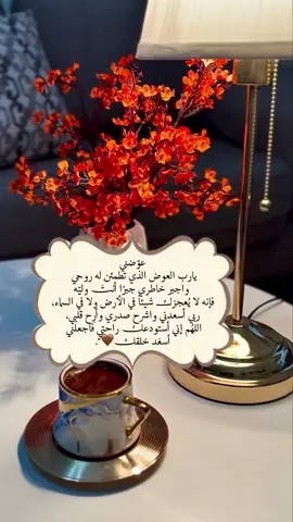 عوّضني  يارب العوض الذي تطمئِن له روحي  واجبر خاطري جبرًا أنتَ وليّه  فإنه لا يُعجزك شيئاً في الأرض ولا في السماء،  ربي أسعدني واشرح صدري وأرِح قلبي،  اللهُم إني أستودعك راحتي فاجعلني  أسعَد خلقك🤎