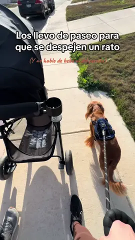 Aveces salir a dar un pequeño paseo y tomar el aire libre es la mejor forma a ayudar a relajarnos a compartir como familia y dejar las tareas del hogar a un lado. 🏡 #momlife #postpartum #sahmlife 