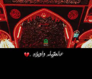 💔💔 #ملا_ذوالفقار_الكعبي #محمد_باقر_الخاقاني #سيد_سلام_الحسيني #اللهم_عجل_لوليك_الفرج #ياعلي 