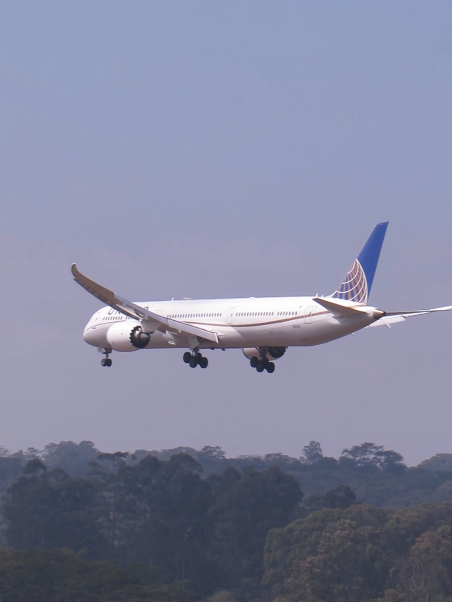 UNITED Boeing 787-9 Dreamliner landing ✈️🇺🇲 GRU-AIRPOT #b787 #b787dreamliner #boeinglovers 