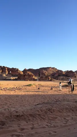 Elephant Rock 🐘  #travel #saudiarabia🇸🇦 #ksa🇸🇦 #alula #fyp 