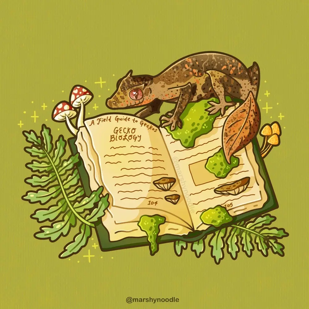 Did you know we have a monthly sticker club? This cutie pie is the second sticker of the month for September, featuring a leaf tail gecko reading a forgotten field guide 🦎📖 Join us on the site to get cute new reptile stickers every month, with free worldwide shipping!  #gecko #reptiles #stickers #artistsoftiktok #queerartist 