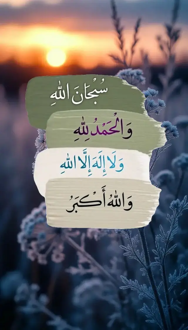 #fyp #fypage #اكسبلورexplore 