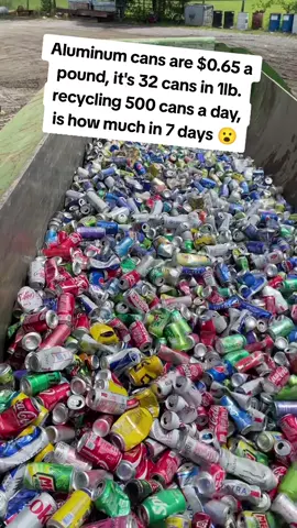 It's Free To Follow 🔥🔥🔥 TT/IG 🎥: otyard (FOLLOW) (DM FOR REMOVAL) #dumpsterrentalbusiness #bluecollar #junkremovalbusiness #martinextraordinaire #fypシ 