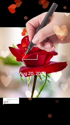 #onthisday #foryou #foryoupage #grow #growmyaccount✅  @ADNAN ORAKZAI  @ADNAN ORAKZAI  @ADNAN ORAKZAI 