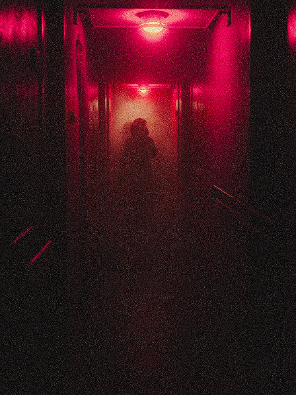You are abord The Aurora of The Seas Cruise 🌊🛳️🚢💀 #creepy #us #ghoststories #terror #nightshift 
