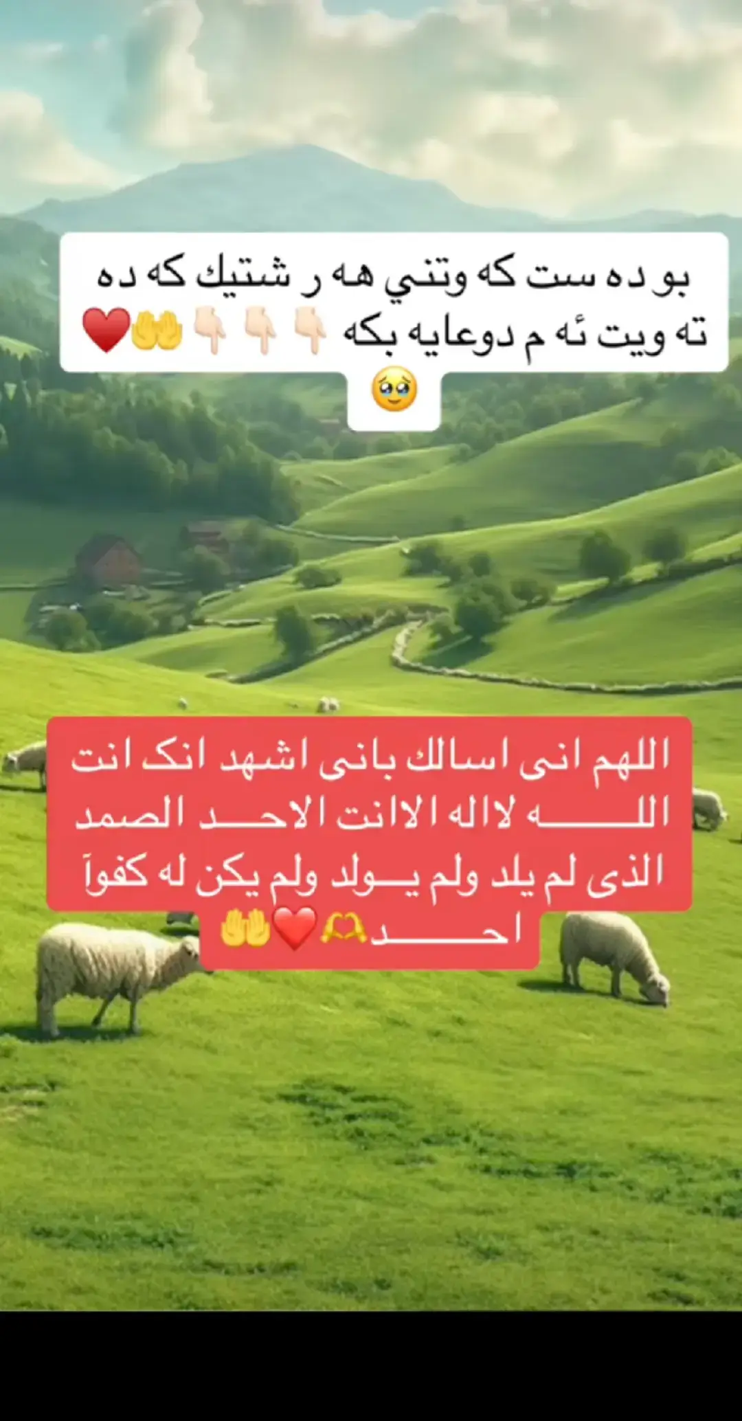 #أسْتَغْفِرُاللهَ #سُبْحَانَ_اللَّهِ #الْحَمْدُللَّهِ #لَاْ_إِلٰه_َإِلَّاْ_اللّٰه #fyp 