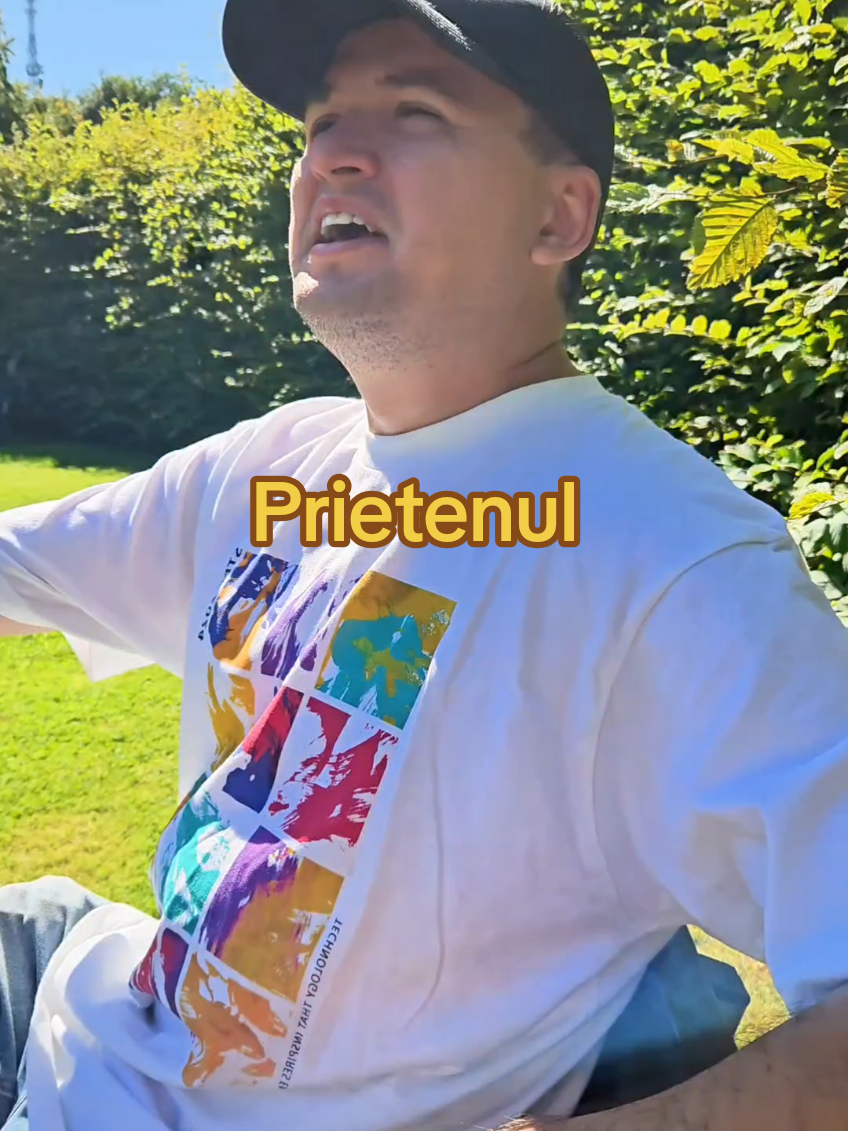 Prietenul #tiktokromania #parodie #concediu #vacanta #CapCut 