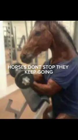 They don’t stop #horses #youngthug 