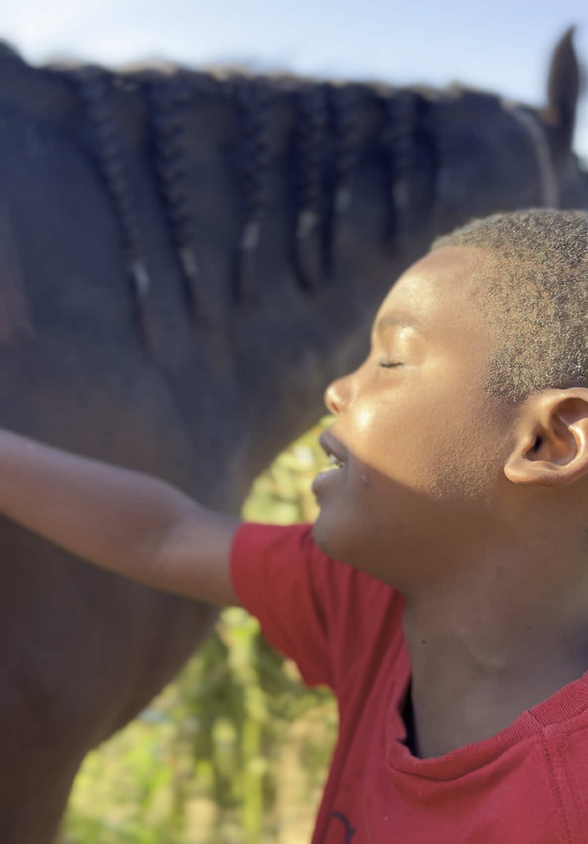 Essa canção foi feita para todos os animais que sofrem maus tratos e principalmente o cavalo que o dono tirou as pernas! #vamosviralizar #viralizou #sucesso 