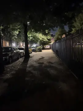 🎶🥀🎶