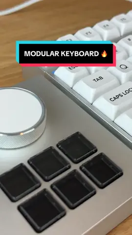 you could knock someone out with a clean hit to the head with this 😭😭 I’ll be honest, TMICE is a company I had never heard of before. So imagine my surprise when this showed up at my door and it was the best keyboard I had ever used. The modular keyboard is great for productivity, but I wouldn’t really recommend it for gaming due to its sometimes annoyingly small actuation distance and proprietary cable. Overall really good though. #tmice #mechanicalkeyboard #techtok 