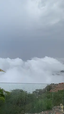 মেঘের রাজ্য taif al shafa  🫀📸⛈️😱#foryou #viral #tiktok #fyp #foryoupage 