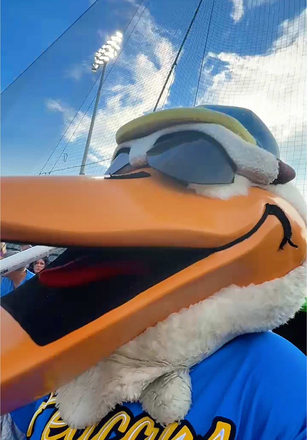 Splash wanted to do a video for socials, everyone be nice. #MBPelicans #MyrtleBeachPelicans #MinorLeagueBaseball #MiLB @Minor League ⚾️ 