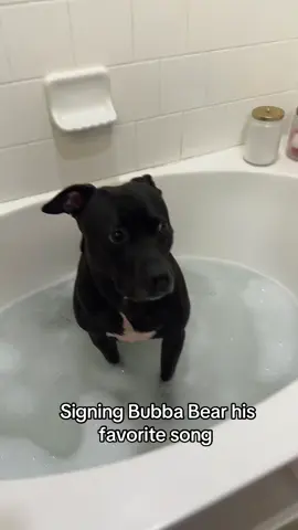 Signing while giving my baby a bath! #dogsoftiktok #singing 