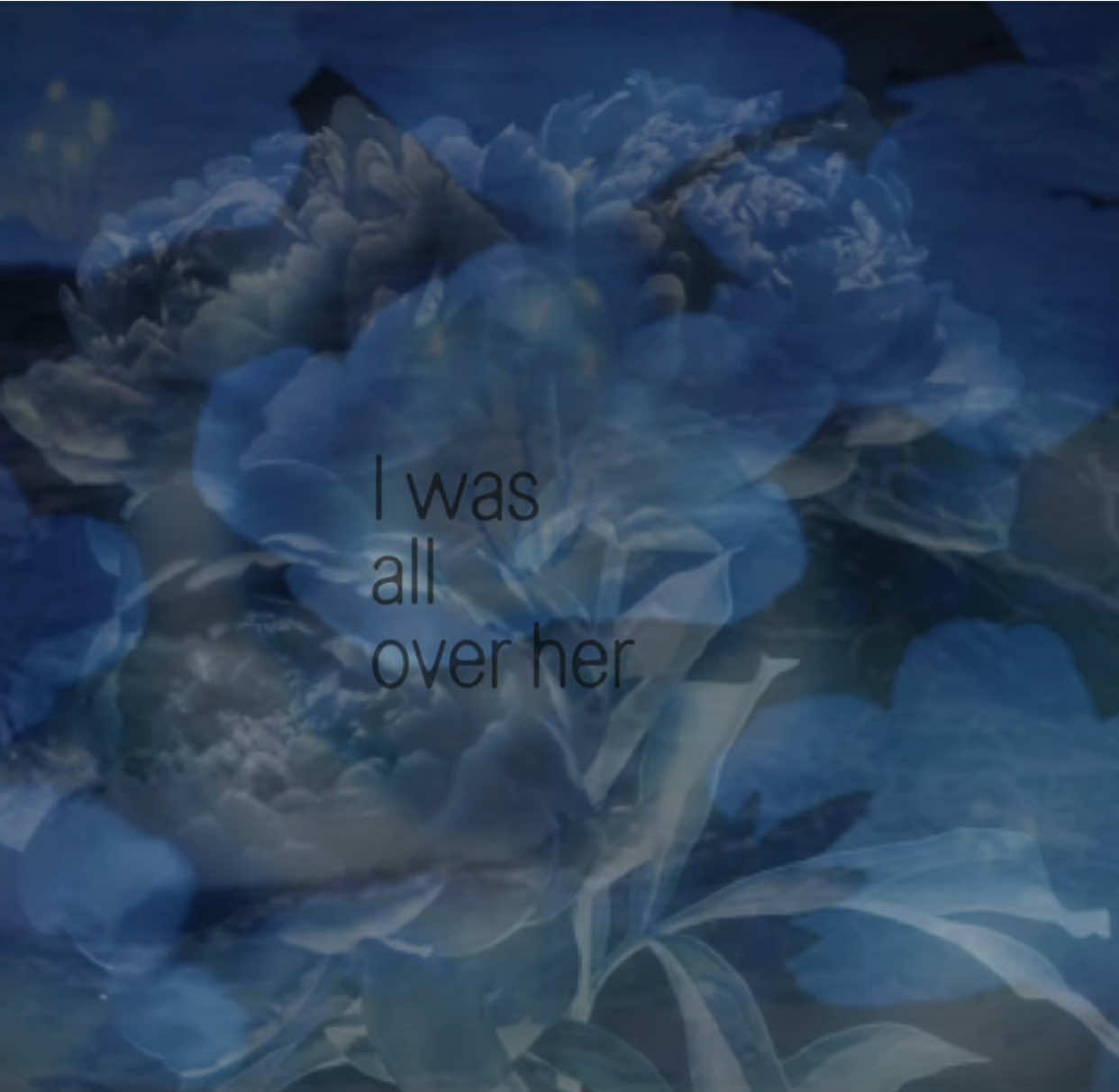 💙🦋🌀 #iwasalloverher #salviapalth #lycris #songs #aestheticvideos 