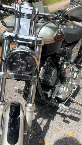 #sportster #harley #black #chrome #100th 