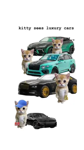 Luxury Cars Explained by kitty #fyp #viral #kitty 