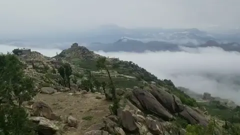 #ص 