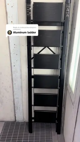 Replying to @materpickerslimjim aluminum ladder 