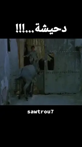 #صوت_الروح 