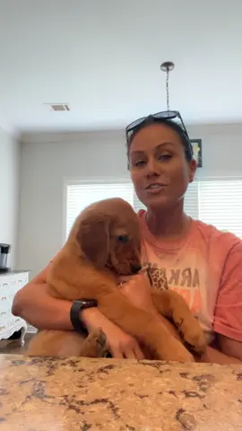 Did I fail crate training?!! 