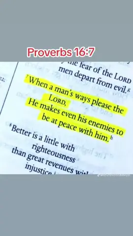 Scripture Reading Time: Proverbs 16:7 #fyp #Bibletok #scripturetime 