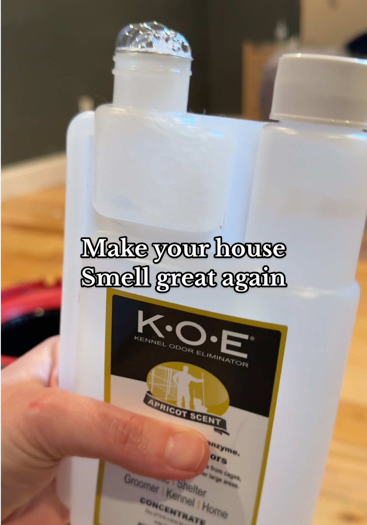 Replying to @MaleficentArteest make your house smell great again by using the KOE EVERYWHERE! I put it in the mop water, carpet shampooer, in a spray bottle, sometimes even in the washing machine. This is my tried and true to making sure my house smells clean and I ain't never going back!! #koe #odor #CleanTok #cleaninghacks #tiktokshopcreatorpicks 