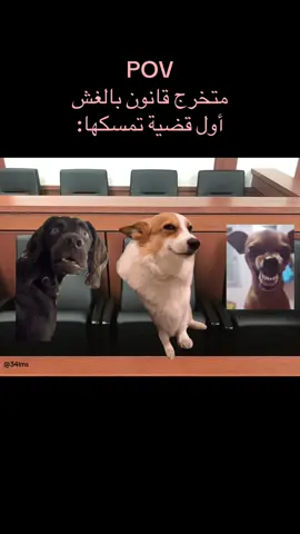 😂😂😂 #ميمز #ميمز_عرب #ضحك 