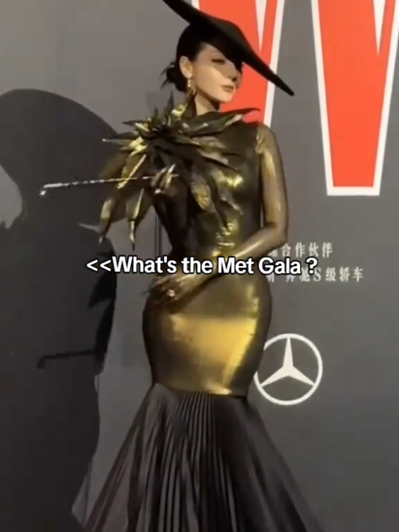 Best Dressed Women in W China annual gala 2025#wgala #dilrabadilmurat #estheryu #zhouye #weibogala 