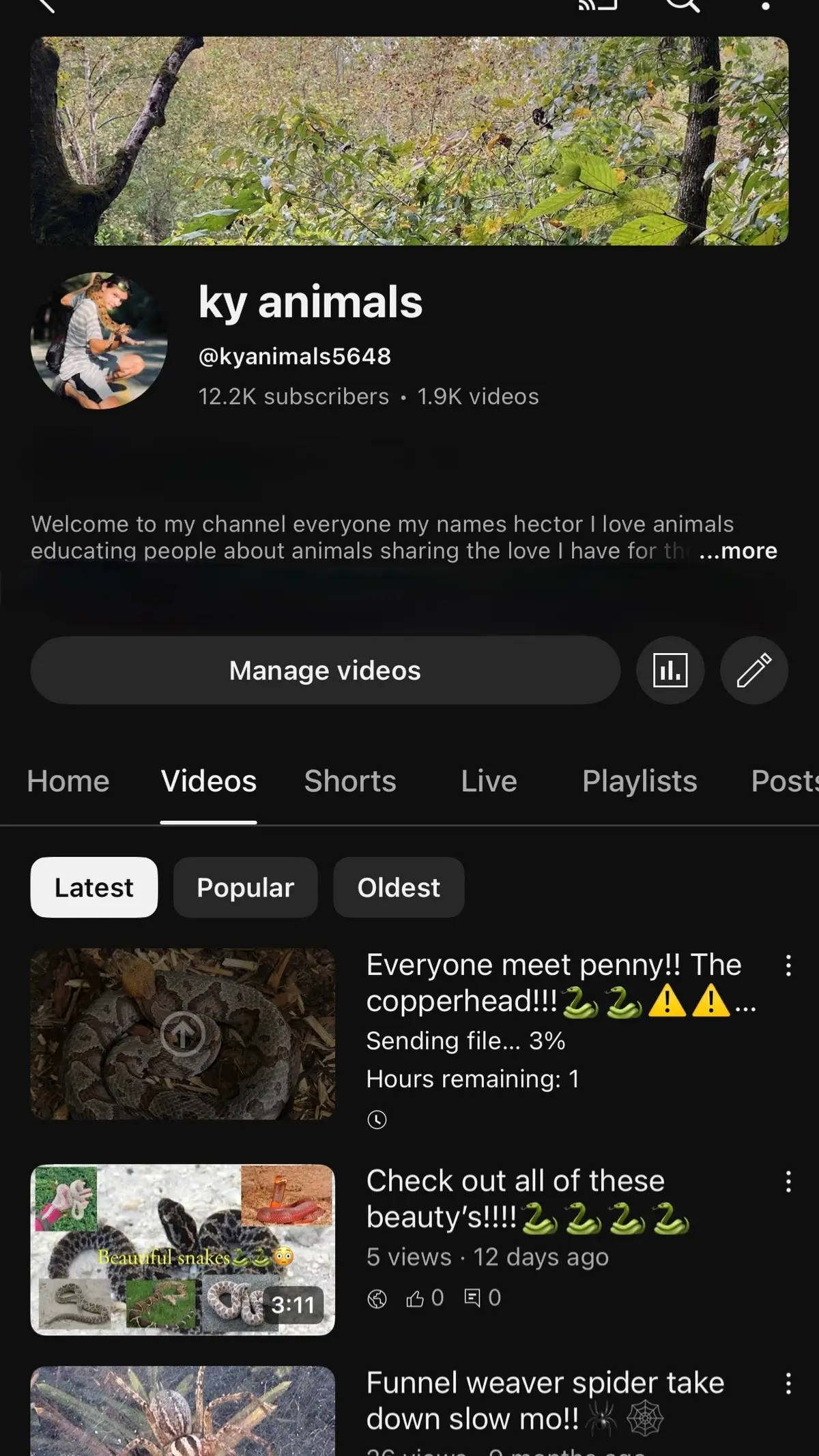 This is my YouTube gonan start posting more on that channel be sure to go subscribe for maybe future video of animals and more would be much appreciated if you do so!!!!#f #foryou #foryoupage #youtube #snake 