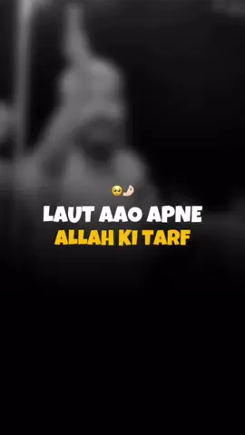 💯 