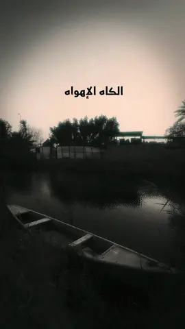 ذابحني الهجر … #سيد_احمد_المنصوري #موكب_حامل_اللواء #سيد_مهدي_البكاء #مرتضى_حرب #محرم_1443_ويبقى_الحسين 