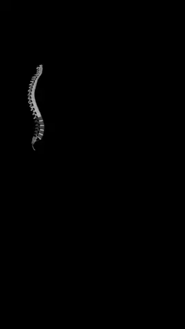 Angulación del tubo de rayos x para diferentes segmentos de la columna #cosasderadiologos #rx #radiologylife #fyppppppppppppppppppppppp 