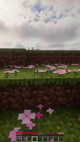 Shaders man... #Minecraft #minecraftmemes #fyp 