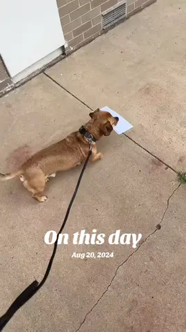 #onthisday