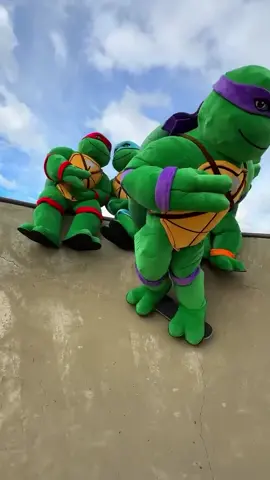 Ninja Turtle bros🐢🥷 #tmnt #teenagemutantninjaturtles #ninjaturtles #pizza #splinter 