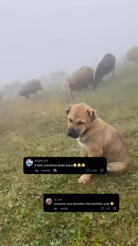 Keşveti alt usde eden video 😂