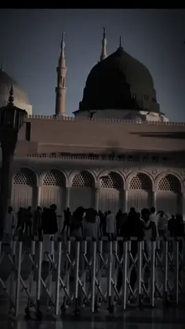 هذا ابو الزهراء #محمدباقرالخاقاني #استشهاد_رسول_الله_عليهم_السلام #ياحسين_اسمك_احسه_عايش_بنص_الدليل #السيده_زينب_عليها_السلام #ويبقى_الحب 