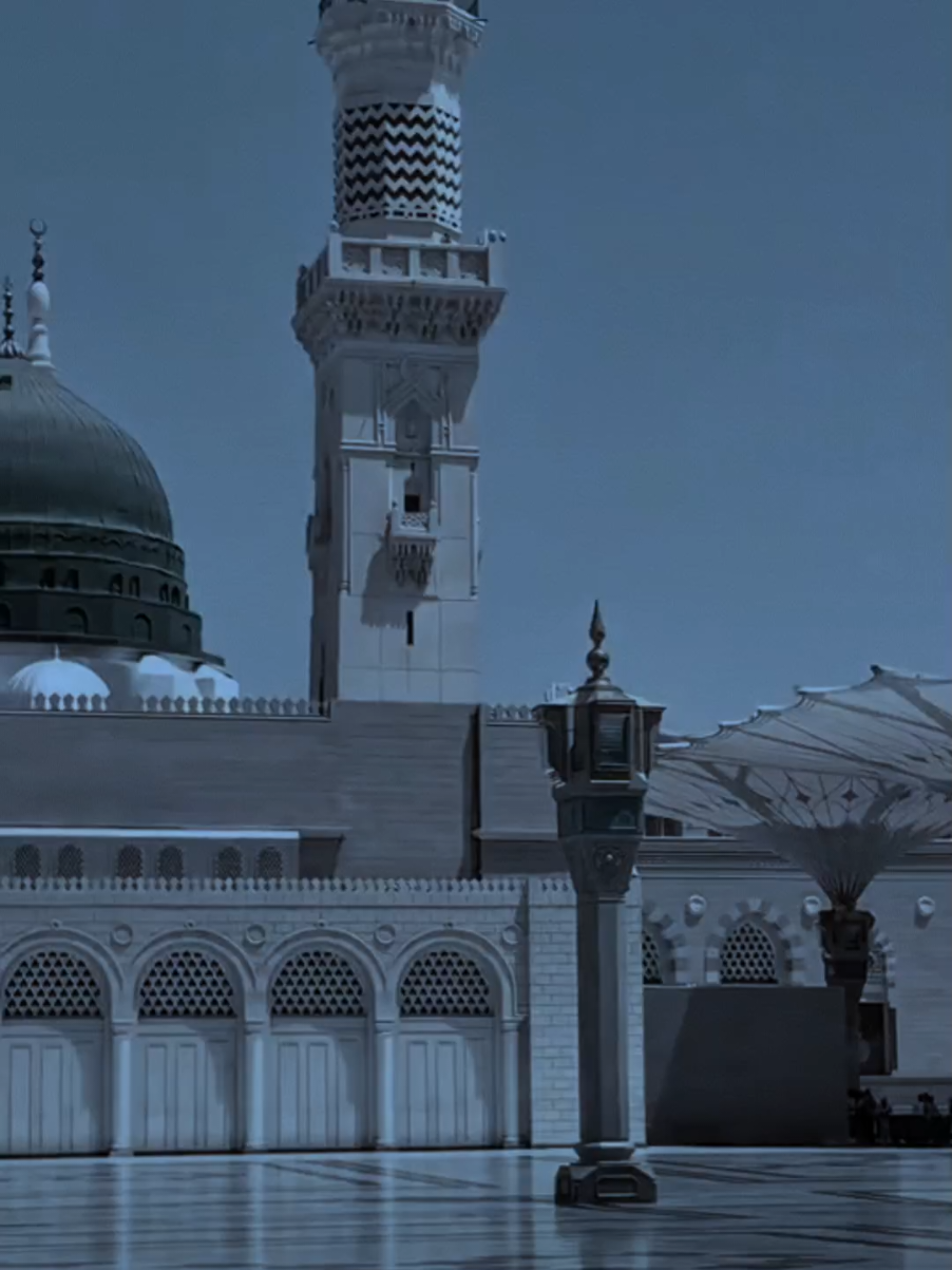 ٢٨صفر ذكرى ستشهاد النبي محمدﷺ عضم الله اجورنا واجوركم💔 #مسلم_الوائلي 