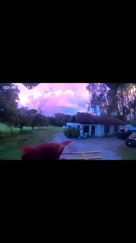 What a beautiful sunset!! 🌅 #birdcamera #birdhousecam #caughtin4k #sunset #smartbirdfeeder 