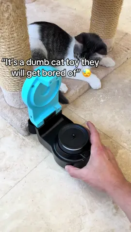 Your cat’s next obsession 🐾 Adjust speed & size and watch them stay hooked. #tiktokshopfinds #kittylove #catenrichment #catlover #fyp 